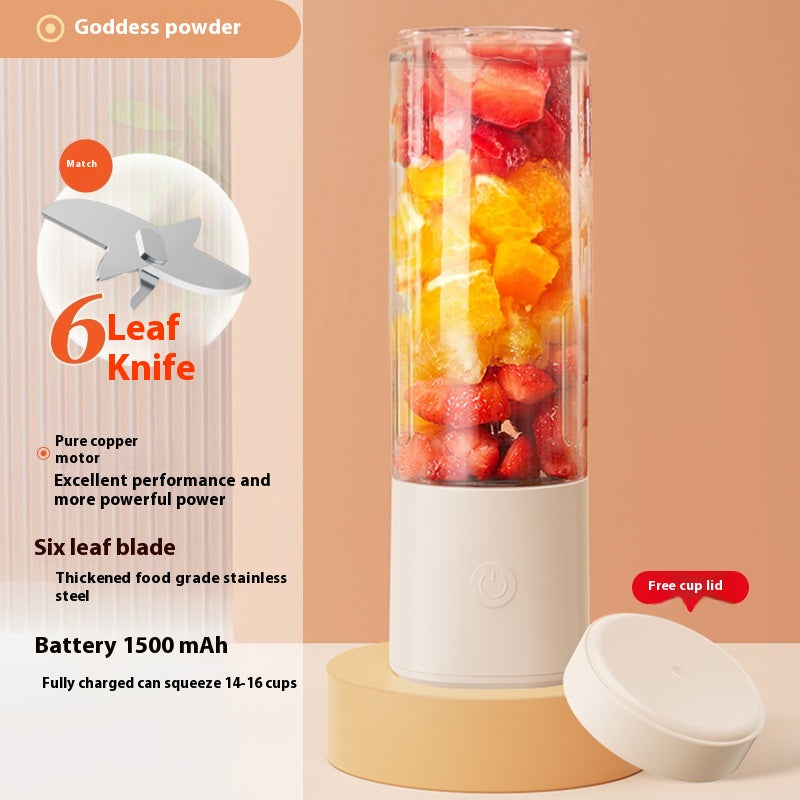 QuickBlend Portable Juicer Bottle