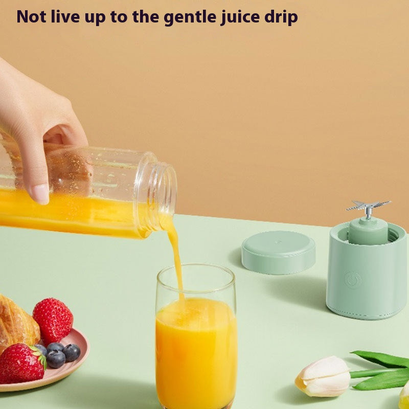 QuickBlend Portable Juicer Bottle